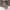 王敏纳