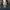 Cariad Lloyd