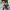 Sundeep Kishan