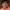 Sampoornesh Babu