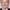 Francis Lawrence
