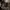 Contracted: Phase II