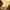 Theeb