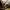 Cartel Land