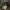 This Beautiful Fantastic