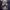 The Autopsy of Jane Doe