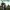Hunt for the Wilderpeople
