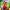 The Swan Princess: Royally Undercover