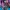 Monster High: Ghouls Rule