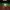 The Thirteenth Floor