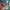 LEGO Hero Factory: Rise of the Rookies