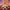Thomas & Friends: Journey Beyond Sodor