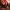 Tiny Christmas