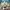 Thomas & Friends: Tale of the Brave: The Movie