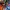 Railroad Tigers