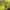Origin: Spirits of the Past