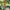 The Secret World of Arrietty