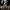 Master Z: Ip Man Legacy