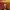 Anthony Jeselnik: Fire in the Maternity Ward