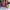 Spirit Riding Free: Spirit of Christmas