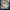 USS Indianapolis: Boj o prežitie
