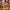 Labyrinthus
