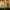 Devil's Road: The True Story of Ed and Lorraine Warren
