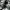 Anonym
