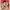 Silk Stockings