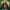 Carolin Kebekus: The Last Christmas Special