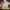 Bill Burr: Live at Red Rocks