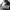 Jo Koy: Live from the Los Angeles Forum