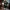 Last Scene Alive: An Aurora Teagarden Mystery