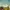 The Young and Prodigious T.S. Spivet
