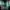 Entity
