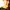 Burn Notice: The Fall of Sam Axe