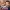Aurora Teagarden Mysteries: Reunited and It Feels So Deadly