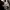 Montage