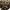 Kickboxer: Vengeance