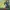 Tales from Earthsea
