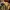Heavy Armor 4: Monster Attack