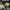 Escape from Sobibor