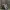 Schlitter