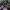 LEGO Marvel Super Heroes: Black Panther - Trouble in Wakanda