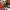 Alienoid: The Return to the Future-2024