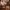 Dream Scenario