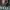 OtherLife