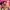 Bratz Kidz: Sleep-Over Adventure