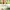 Anne of Green Gables
