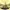 The Peanut Butter Falcon